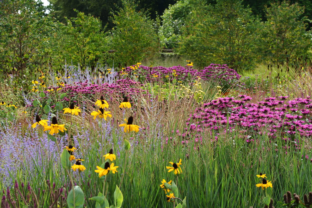The Walled Garden at Scampston Michael Wilson
