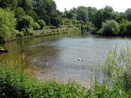 The weir garden