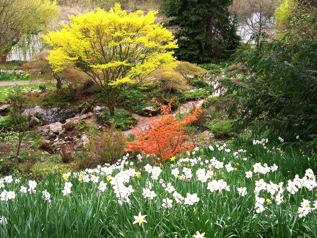 The Weir Garden mifl68