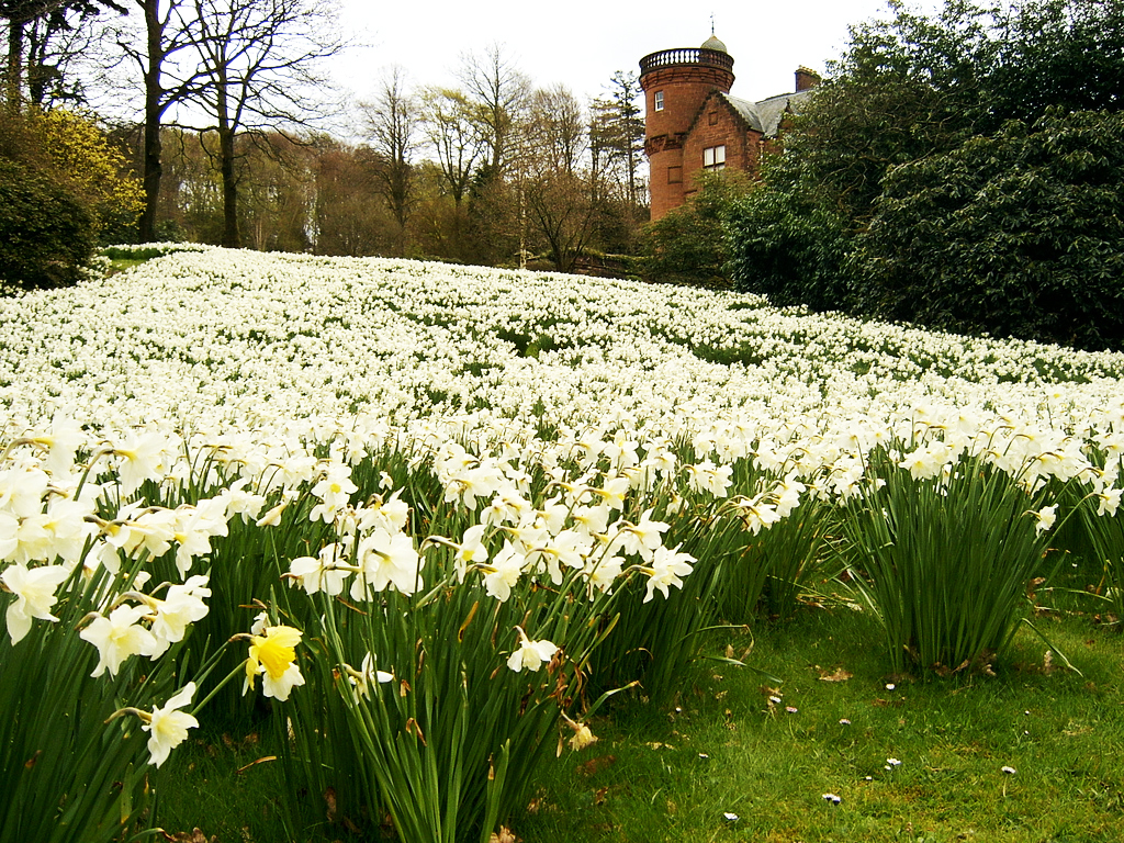 Threave Garden Jason Weaver