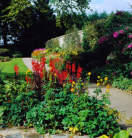 Threave garden nts