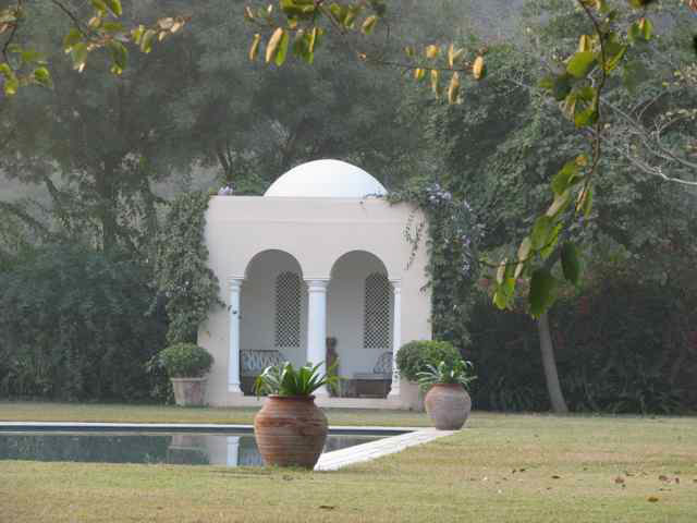 Tikli Bottom Garden