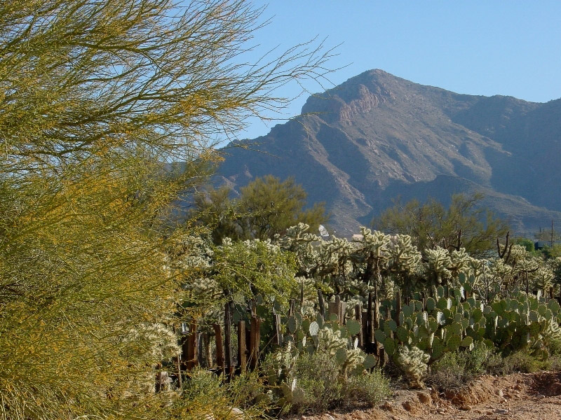 Tohono Chul Park Garden, Arizona