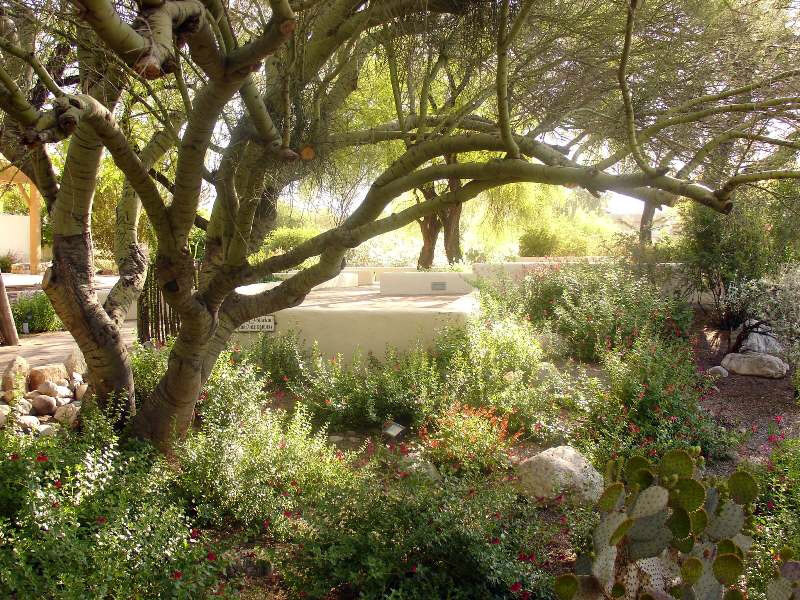 Tohono Chul Park Garden, Tucson