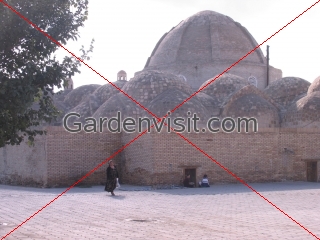 Tok I Zaragaron Bukhara