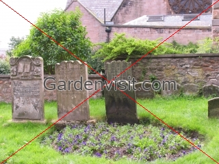 Tomb Stones