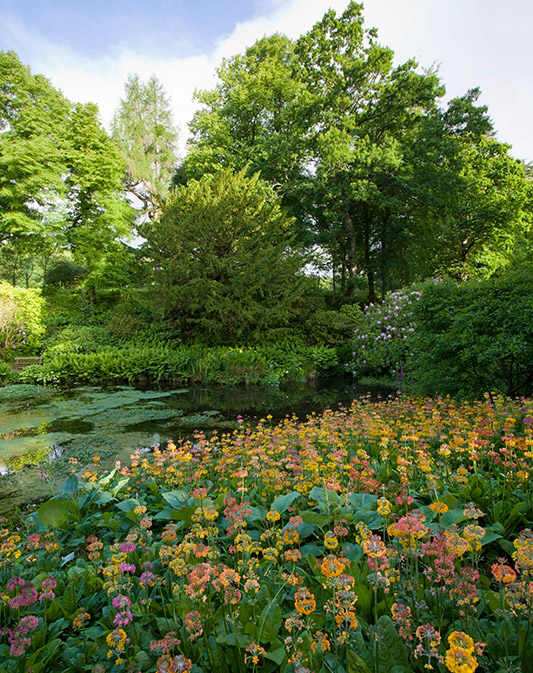 Torosay Castle Garden, Argyll