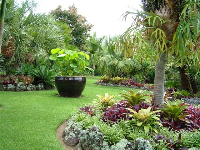 Tropical Garden