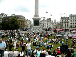 Trafalgar square grass