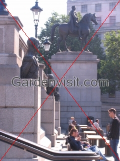 Trafalgar Square Sculptures