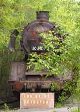 Train Travel