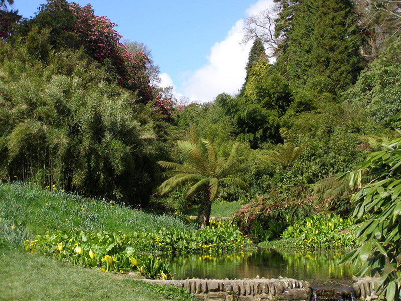 Trebah Garden, England