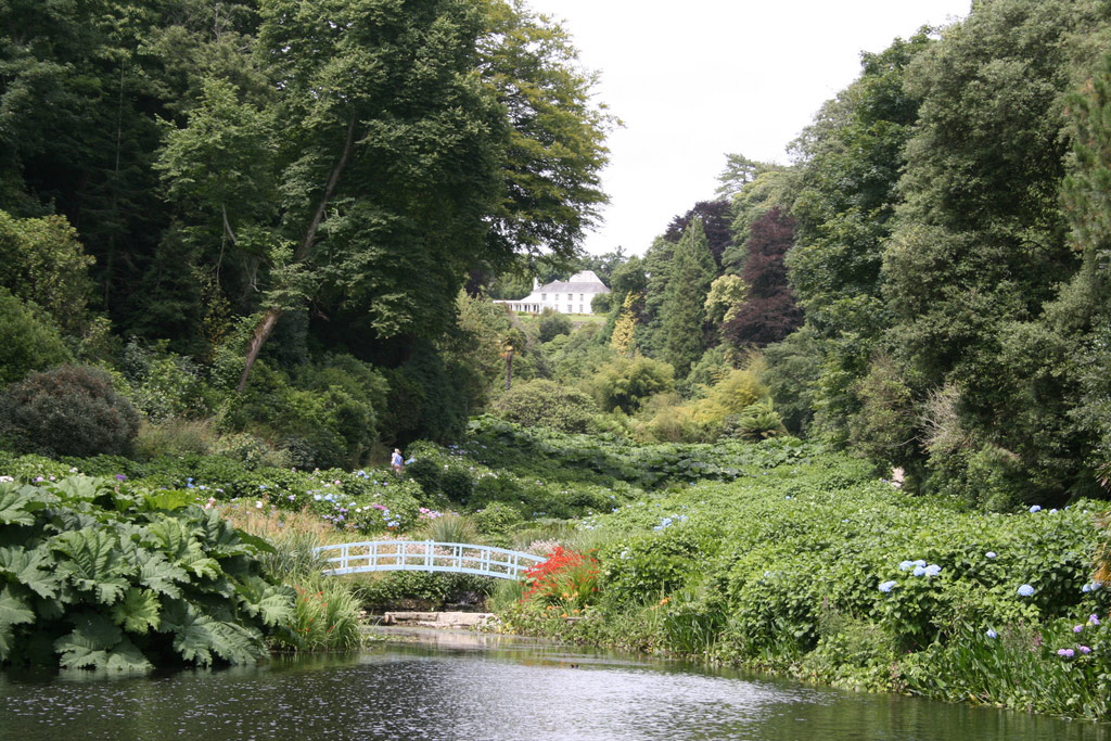 Trebah Garden, Summer 2008