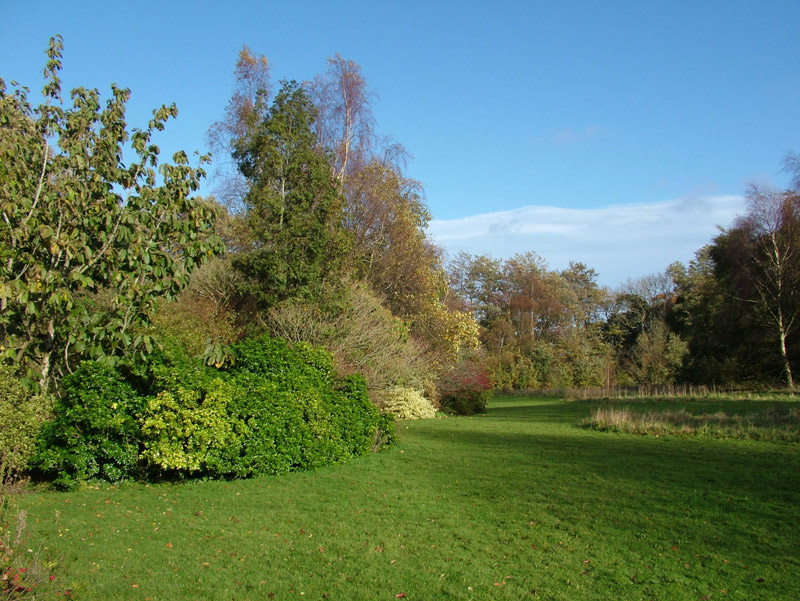Treborth Botanic Garden, Bangor