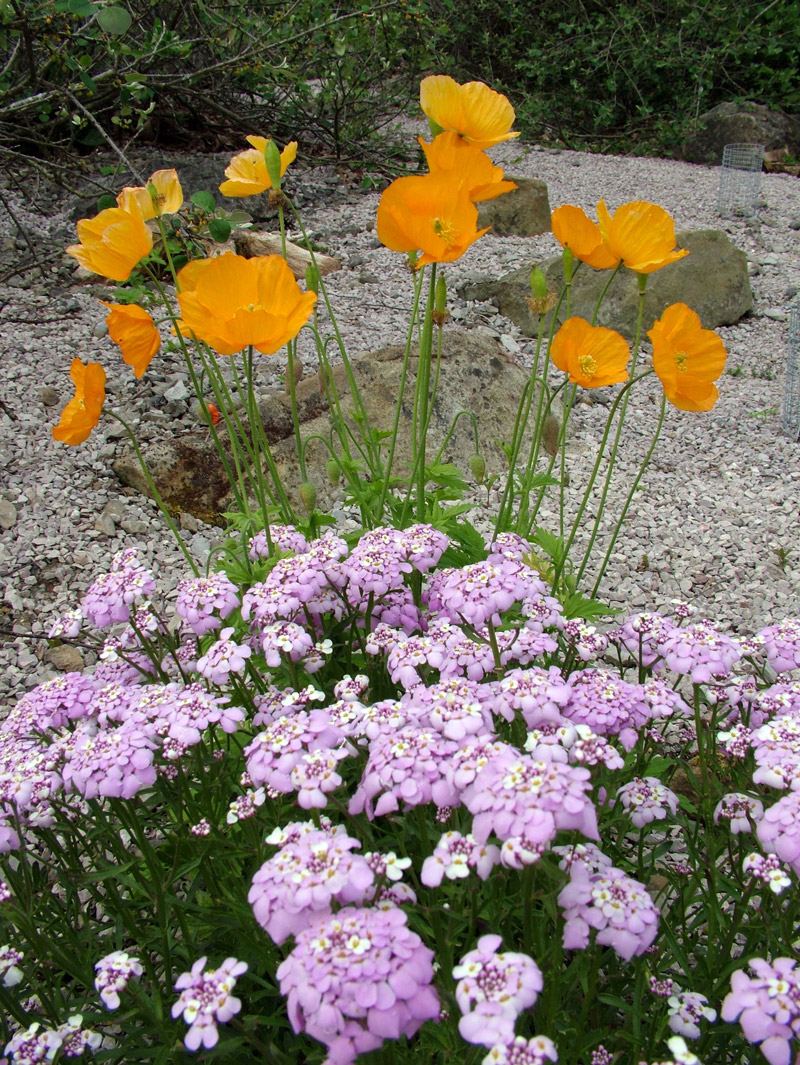 Treborth Botanic Garden, Wales