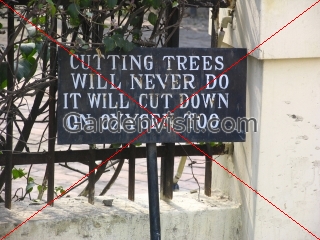 Trees Oxygen