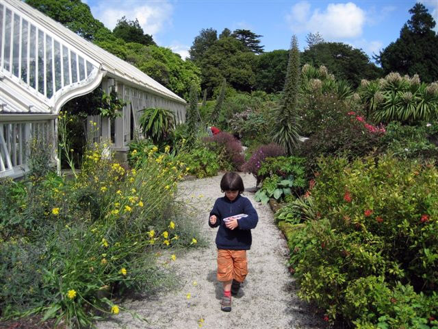 Tregrehan Garden, Cornwall