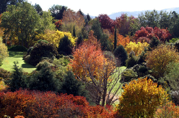Trelinnoe Park, New Zealand