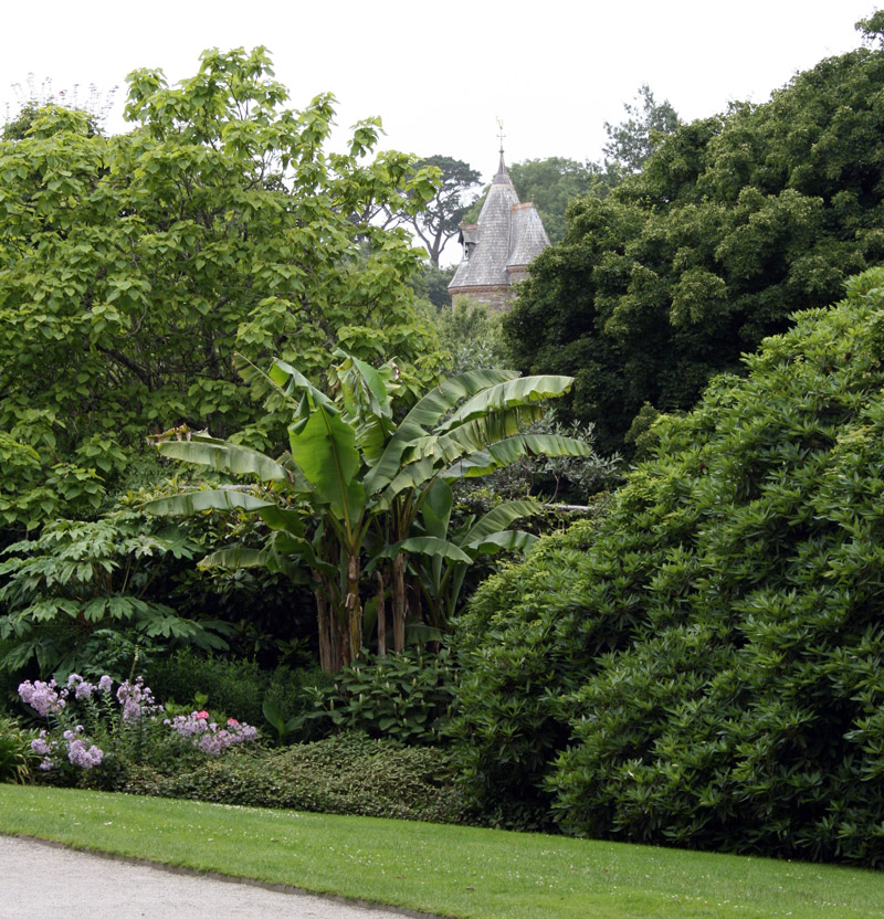 Trelissick Garden, Feock