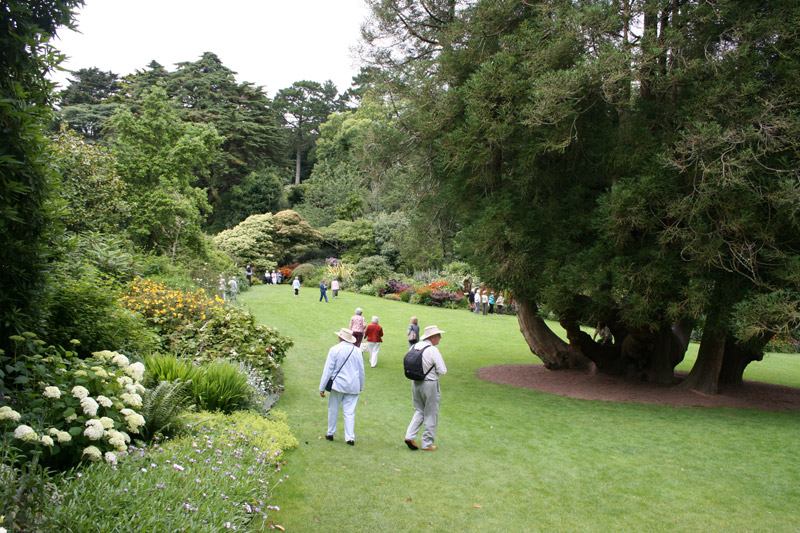 Trelissick Garden, July 2008