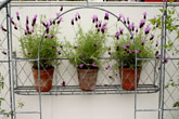 Diagonal galvanized trellis