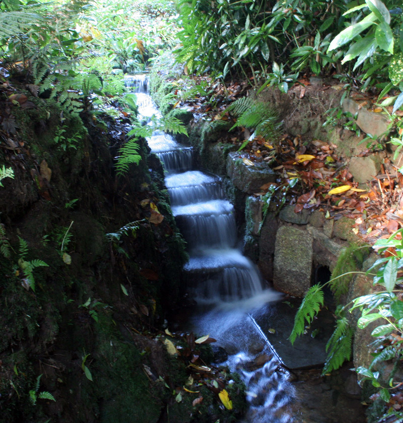 Trengwainton Garden, Cornwall