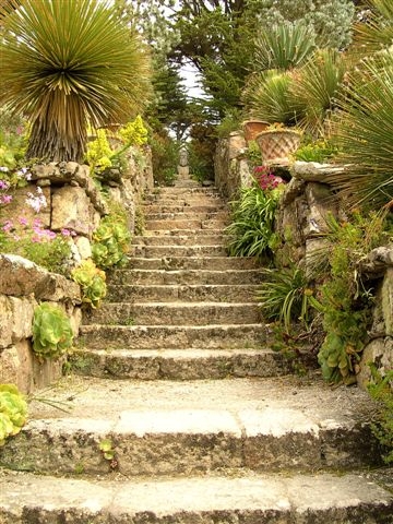 Steps, Tresco Abbey Gardens
