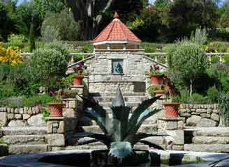 Tresco garden1