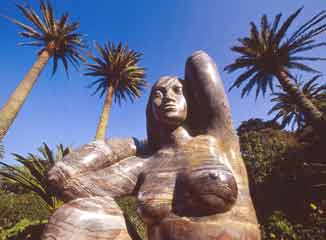 Tresco garden2