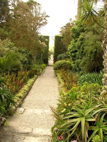 Tresco Abbey Gardens