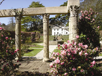 Trevarno garden cornwall