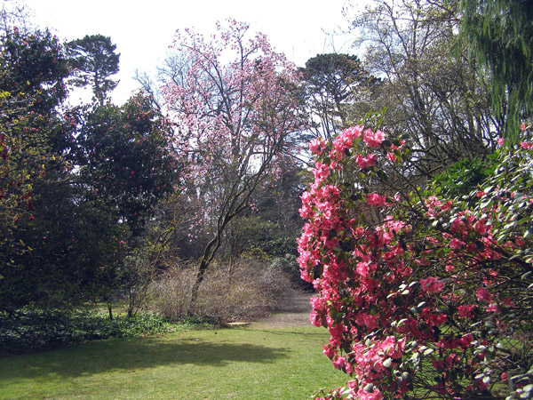 Trewithen Gardens