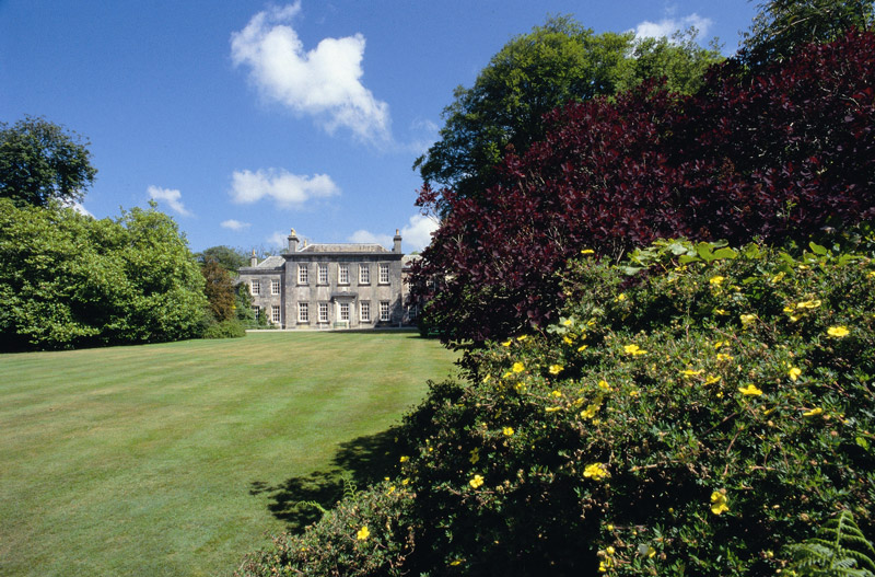 Trewithen Gardens, Cornwall