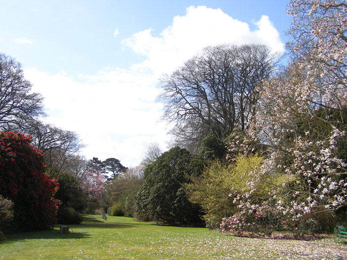 Trewithen Gardens, England