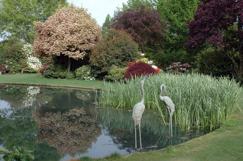 Pond, Trott's Garden