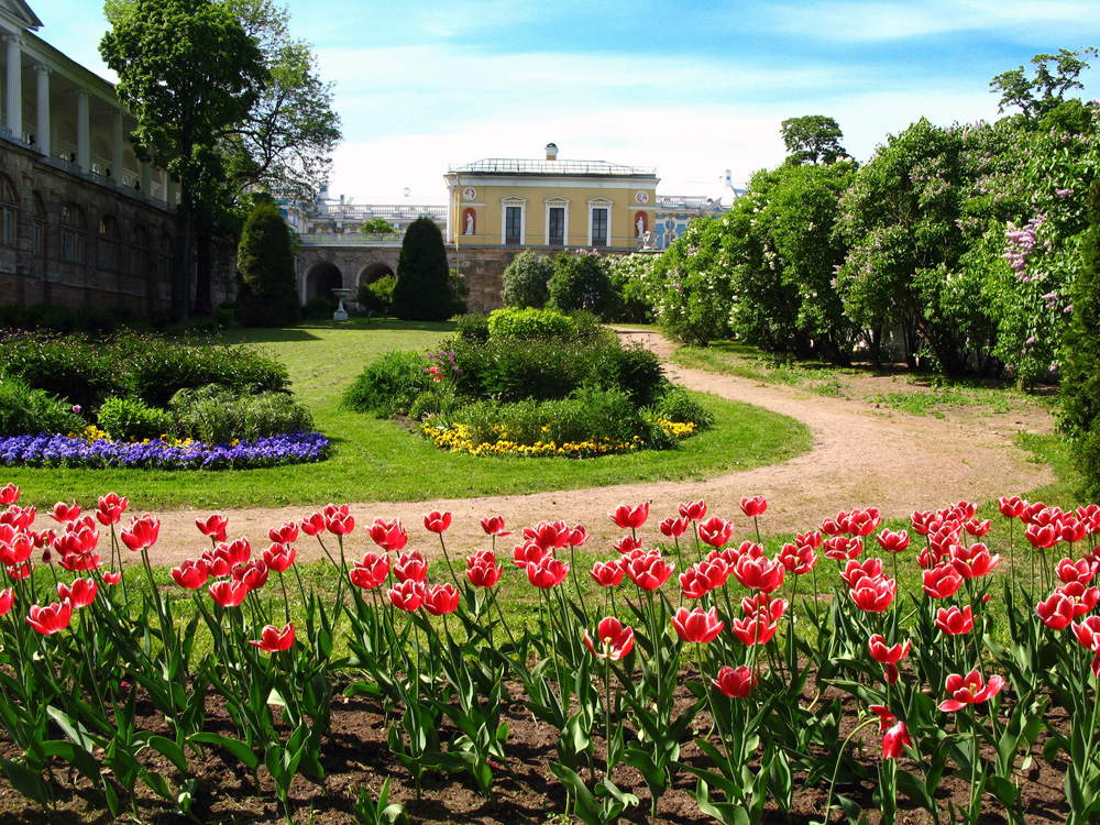 Tsarskoe Selo (Pushkin) Gene Borris