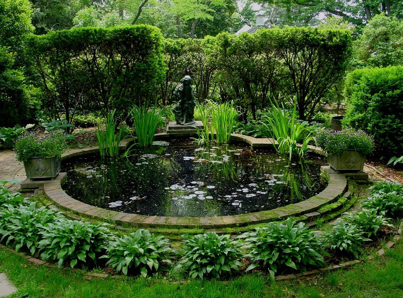 Pond, Tudor Place Garden