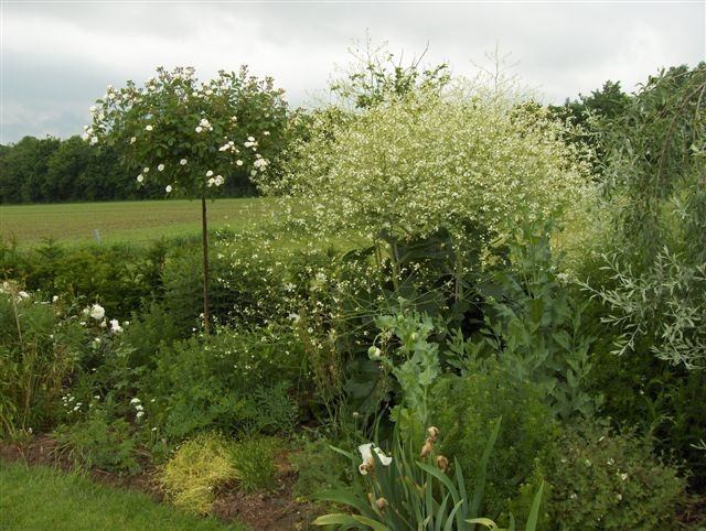 De Tuinen in Demen, Holland