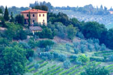 Tuscan villa