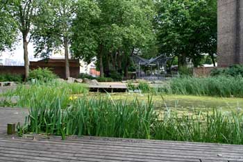 Twinkle Park