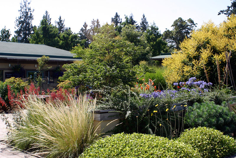 UBC Botanical Garden, Vancouver