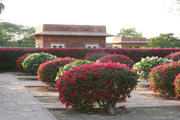 Umaidbhawangarden2