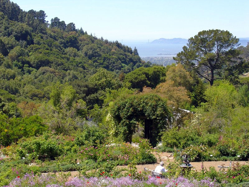 University of California Botanical Garden