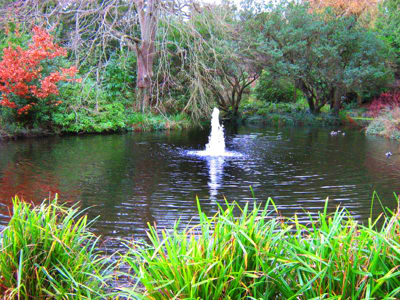 University of Exeter Garden andreas@flickr