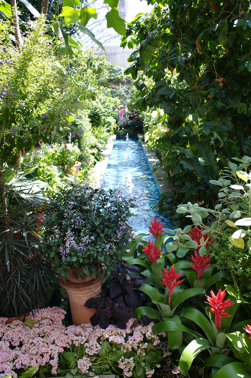 US Botanic Garden, DC