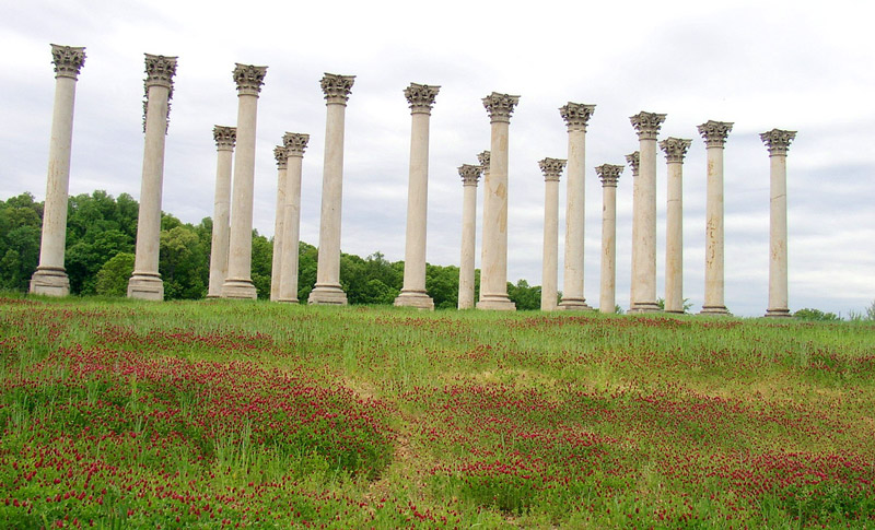 Capitol Columns, US National Arboretum
