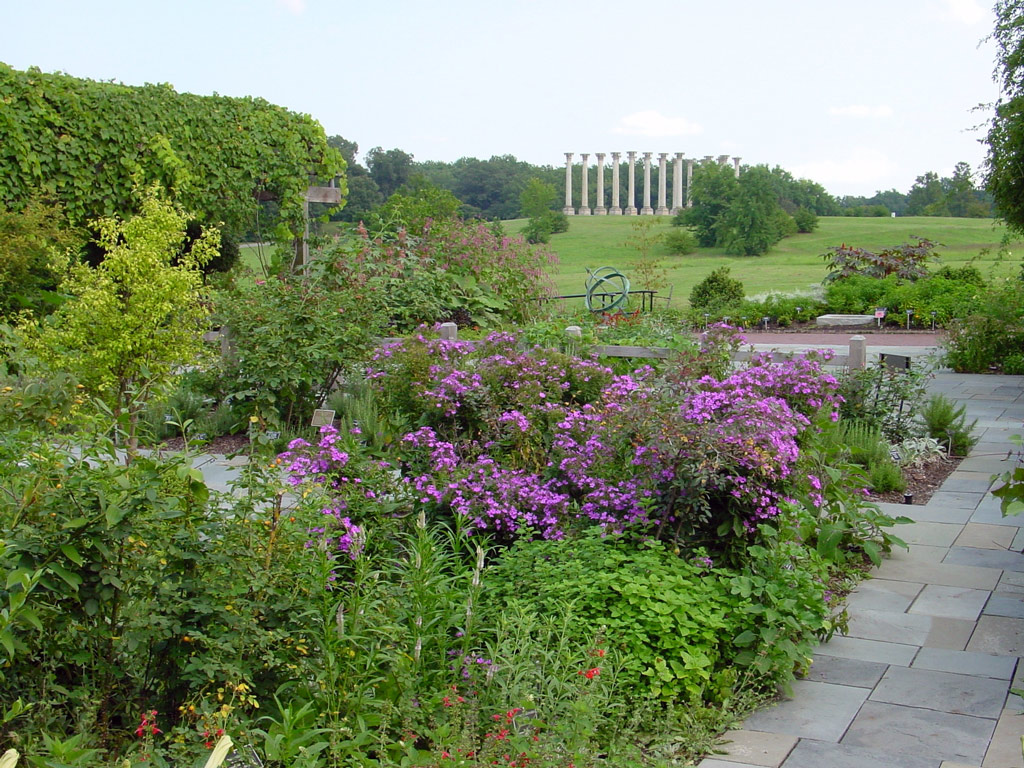 Columns, US National Arboretum Garden
