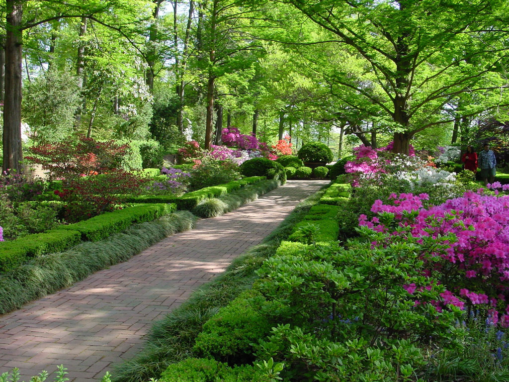 US National Arboretum Garden