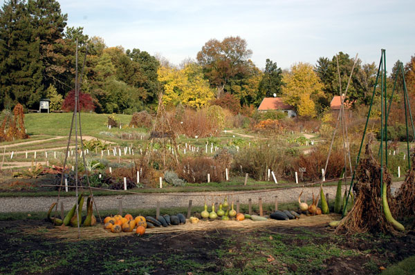 Vácrátót Botanical Garden