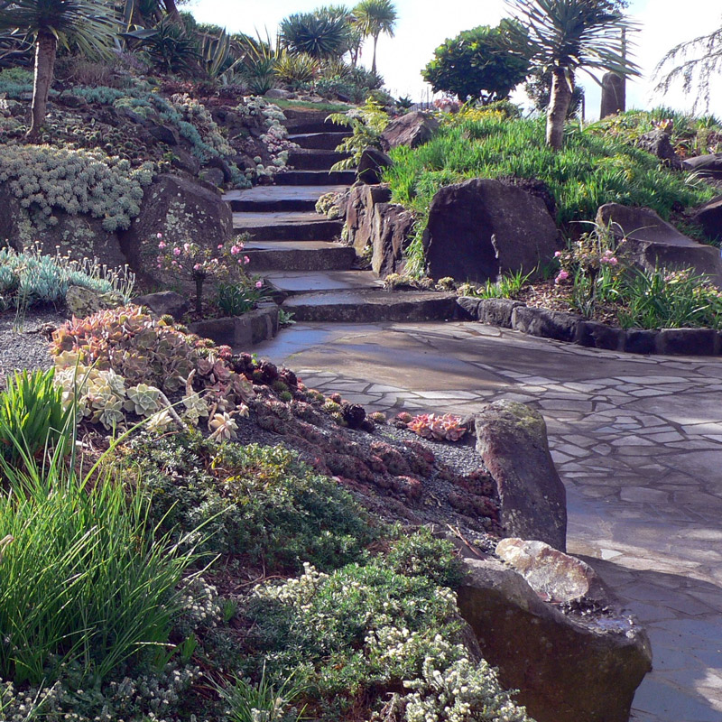 Succulents, Valeside Gardens